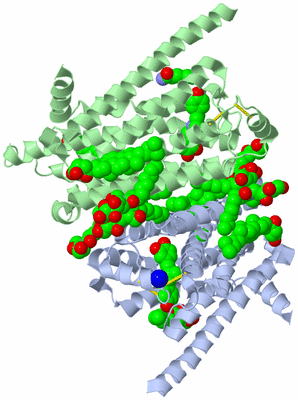 Image Biological Unit 3