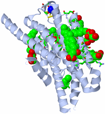 Image Biol. Unit 1 - sites