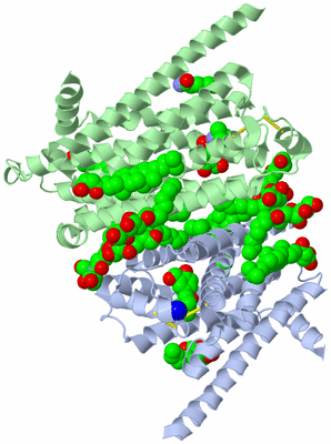 Image Biological Unit 3