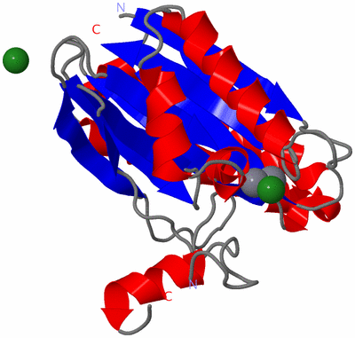 Image Asym./Biol. Unit