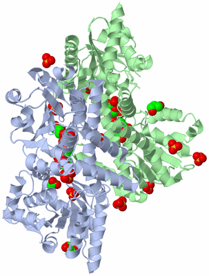 Image Biological Unit 1