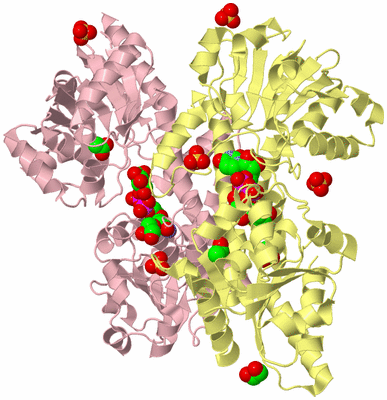 Image Biological Unit 2