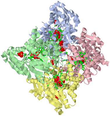 Image Asym./Biol. Unit - sites