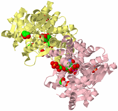 Image Biological Unit 1