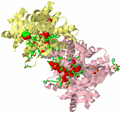 Image Biol. Unit 1 - sites