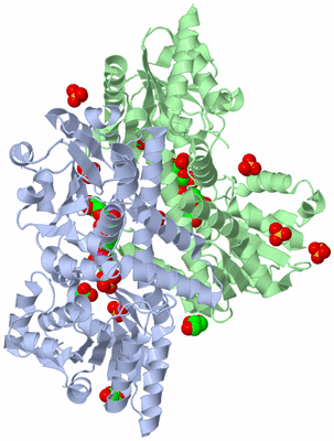 Image Biological Unit 2