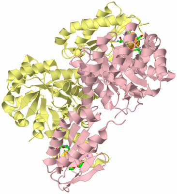 Image Biol. Unit 1 - sites