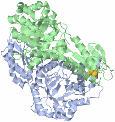 Image Biological Unit 2