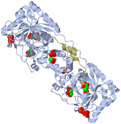 Image Biological Unit 1