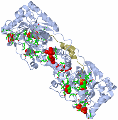 Image Biol. Unit 1 - sites