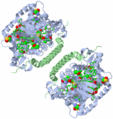 Image Biol. Unit 1 - sites