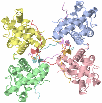 Image Asym./Biol. Unit