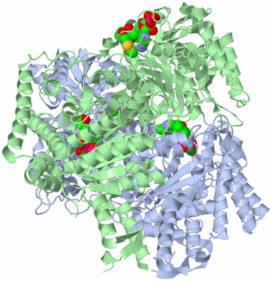 Image Biological Unit 1