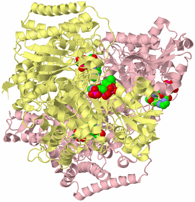 Image Biological Unit 2