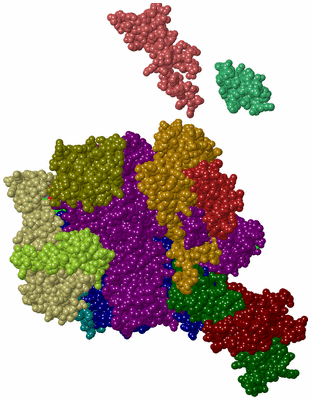 Image Biol. Unit 1 - sites