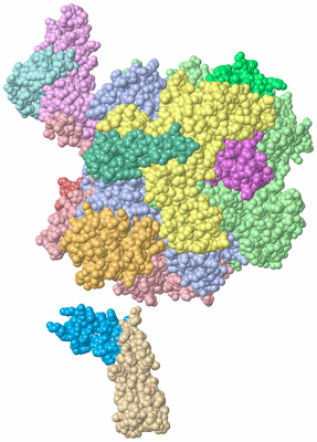 Image Biological Unit 2