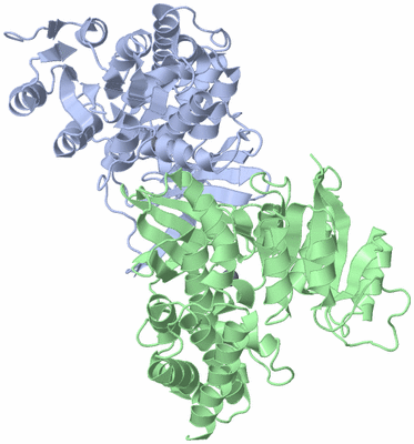 Image Asym./Biol. Unit