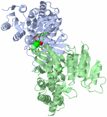 Image Asym./Biol. Unit - sites