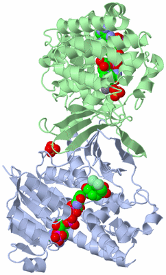 Image Asym./Biol. Unit