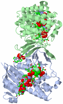 Image Asym./Biol. Unit - sites