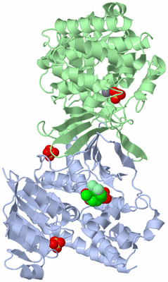 Image Asym./Biol. Unit