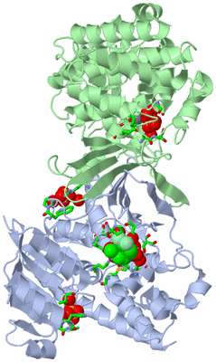 Image Asym./Biol. Unit - sites