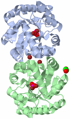 Image Biological Unit 1