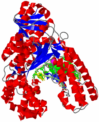 Image Asym./Biol. Unit