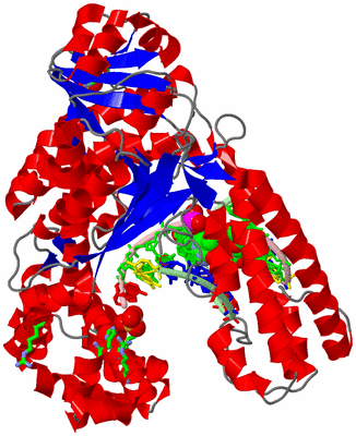 Image Asym./Biol. Unit - sites