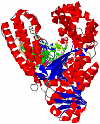 Image Asym./Biol. Unit