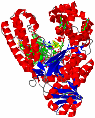 Image Asym./Biol. Unit - sites