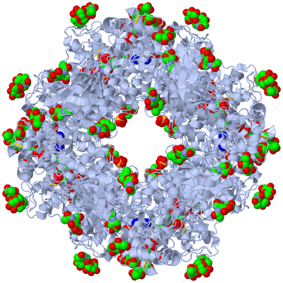 Image Biological Unit 1