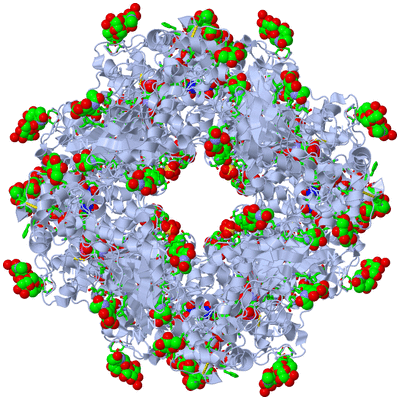 Image Biol. Unit 1 - sites