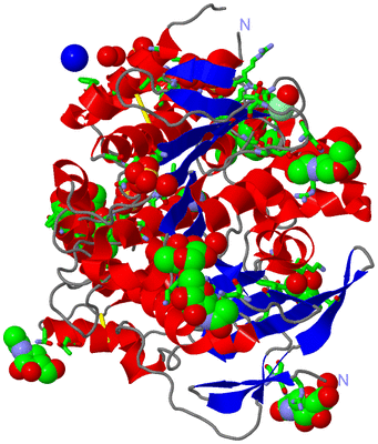 Image Asym. Unit - sites