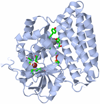 Image Biol. Unit 1 - sites