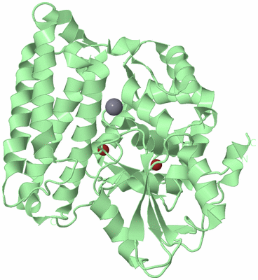 Image Biological Unit 2