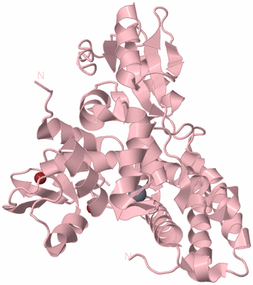 Image Biological Unit 3