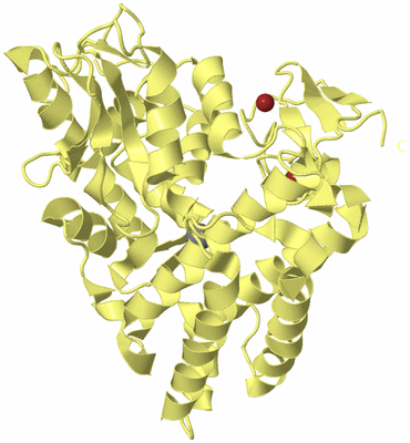 Image Biological Unit 4