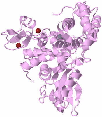 Image Biological Unit 5