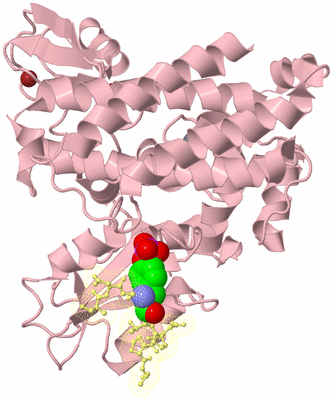 Image Biological Unit 1