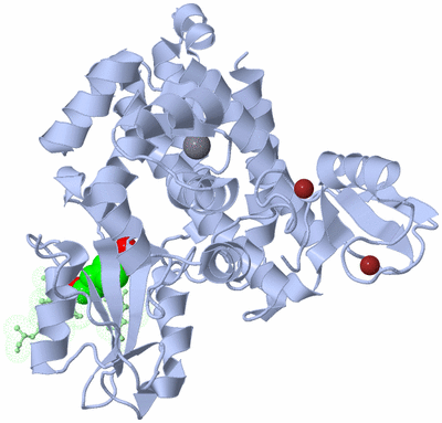 Image Biological Unit 2