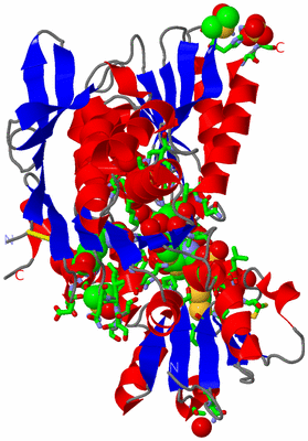 Image Asym./Biol. Unit - sites