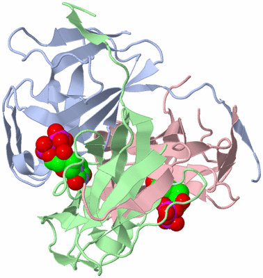 Image Biological Unit 1