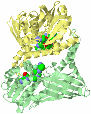 Image Biological Unit 1