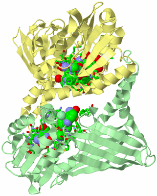 Image Biol. Unit 1 - sites