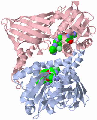 Image Biological Unit 2