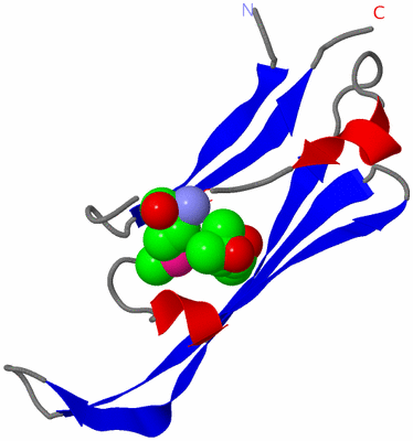 Image Asymmetric Unit