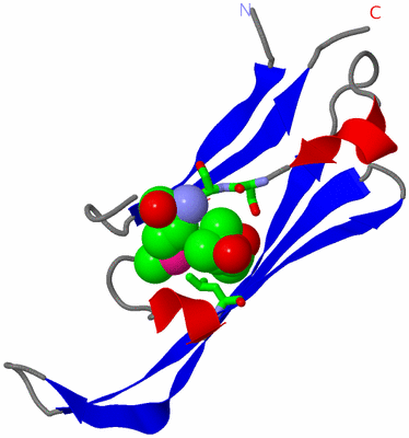 Image Asym. Unit - sites