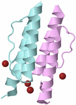 Image Biological Unit 3