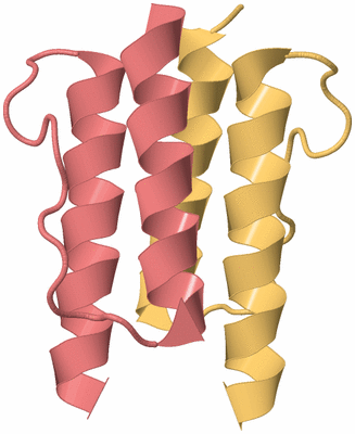 Image Biological Unit 3